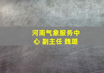 河南气象服务中心 副主任 魏璐